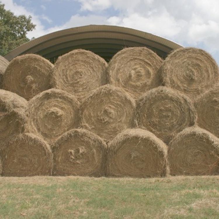 GFB accepting entries for Quality Hay Contest & Hay Directory